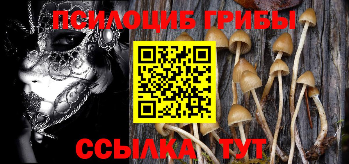 Апшеронск  Галлюциногенные грибы MAGIC MUSHROOMS  как найти закладки  Вход с VPN  Псилоцибиновые грибы мухоморы 
