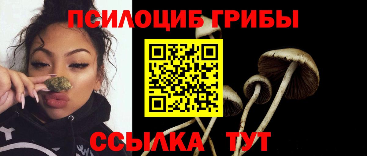 Галлюциногенные грибы MAGIC MUSHROOMS Апшеронск