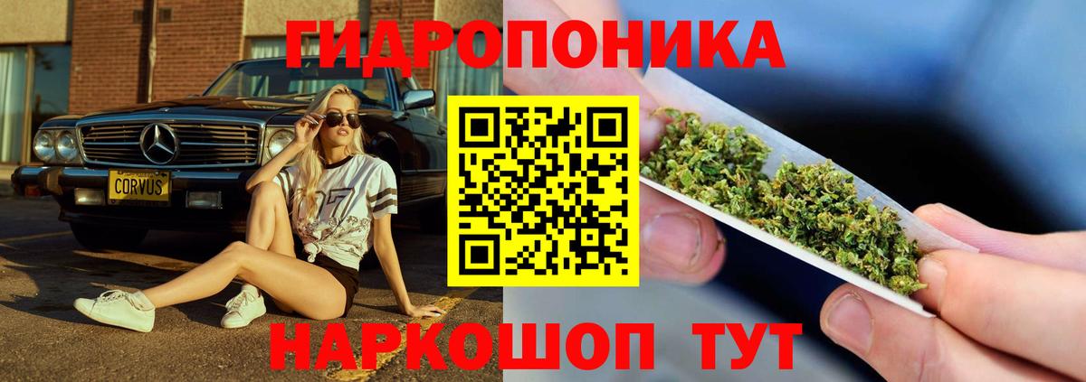Бошки Шишки семена  Вход с VPN  Апшеронск  Шишки марихуана AK-47  Марихуана VHQ  Каннабис план 